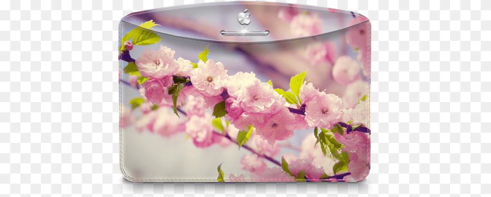 Folder Nature Cherry Tree Icon Darktheme Iconset Cherry Blossom, Flower, Petal, Plant, Cherry Blossom Png Image