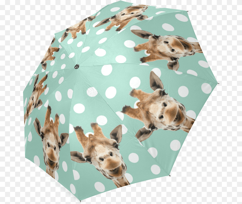 Folding Umbrella, Canopy, Animal, Canine, Dog Png