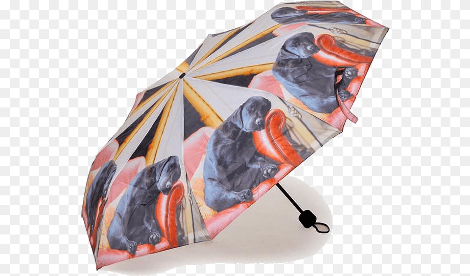 Folding Umbrella, Canopy, Animal, Canine, Dog Free Png