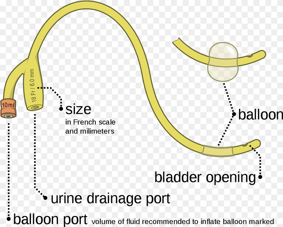 Foley Catheter Two Way, Electronics Free Png