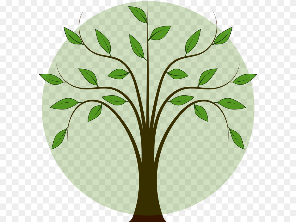 Folhas De Arvore Tree With Leaves Clipart, Herbs, Plant, Pattern, Green Png