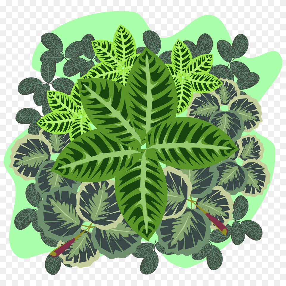 Foliage Clipart, Vegetation, Plant, Leaf, Green Png