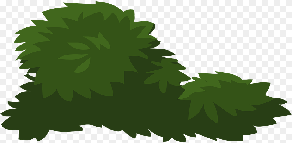 Foliage Clipart Leafy Bushes Vector, Green, Herbs, Plant, Tree Free Png