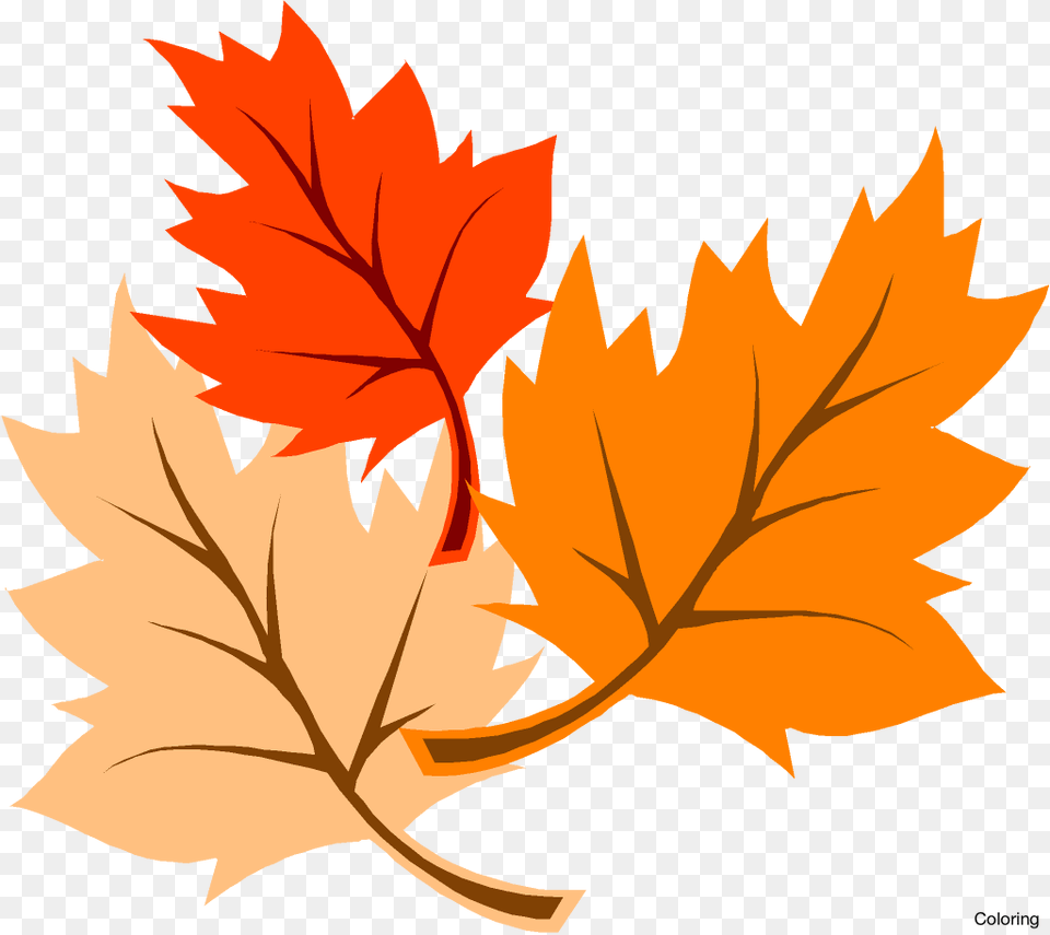 Foliage Clipart Leaves, Leaf, Plant, Tree, Maple Leaf Free Png Download