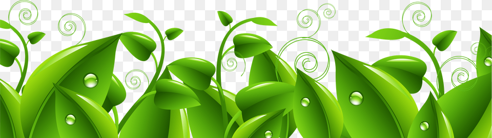 Foliage Clipart Leaves Grass Grass Leaves Clip Art Png Image