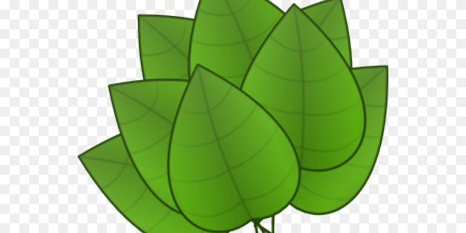Foliage Clipart Rainforest Leave, Green, Leaf, Plant, Ammunition Png