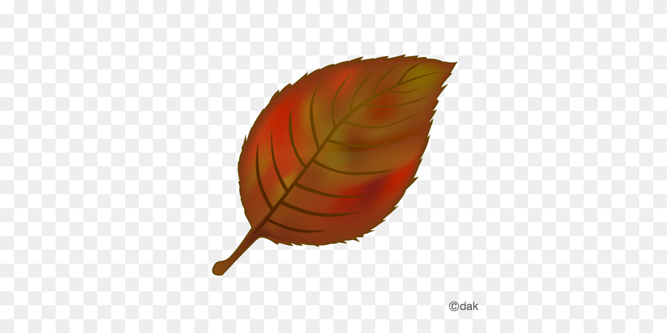 Foliage Clipart Red Leaf, Plant, Astronomy, Moon, Nature Png