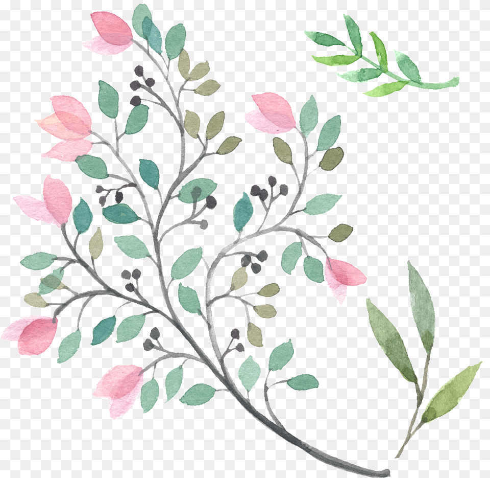 Foliage Green Leaf Beautiful Hd Bougainvillea Watercolor, Art, Floral Design, Graphics, Pattern Free Png Download