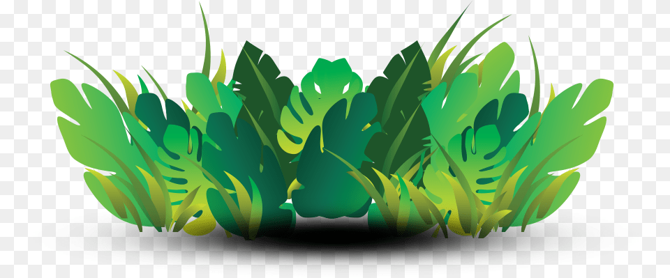Foliage Illustration, Green, Art, Plant, Graphics Free Transparent Png