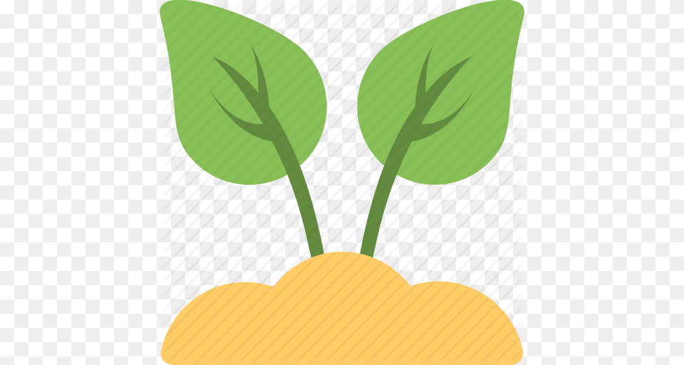 Foliage Leaves Plant Sapling Seedling Icon, Herbal, Herbs, Leaf Free Transparent Png