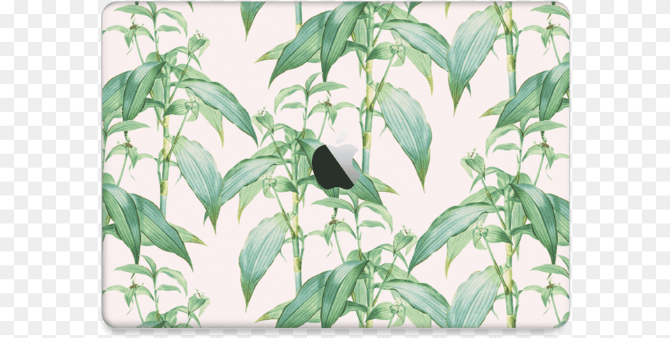 Foliage Love Skin Macbook Air 2018 Bird, Leaf, Plant, Animal, Blackbird Png