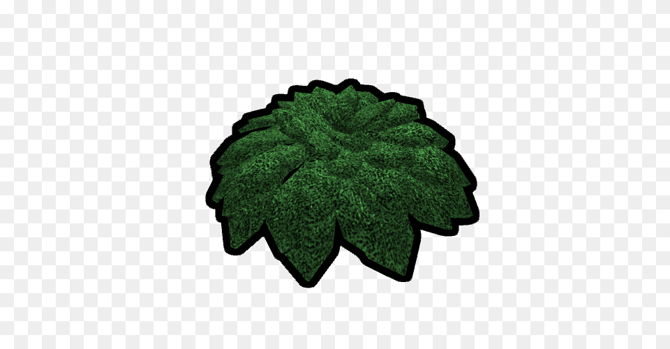 Foliage Official Barren Wiki Fandom Powered, Green, Vegetation, Leaf, Moss Free Png Download