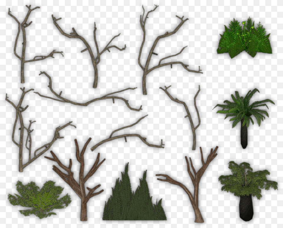 Foliage Pack Fir, Plant, Potted Plant, Tree, Leaf Free Png