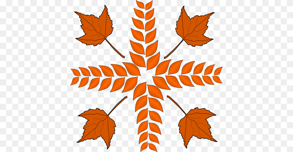 Foliagedry Leaves Cross, Leaf, Plant, Tree, Maple Leaf Free Png Download