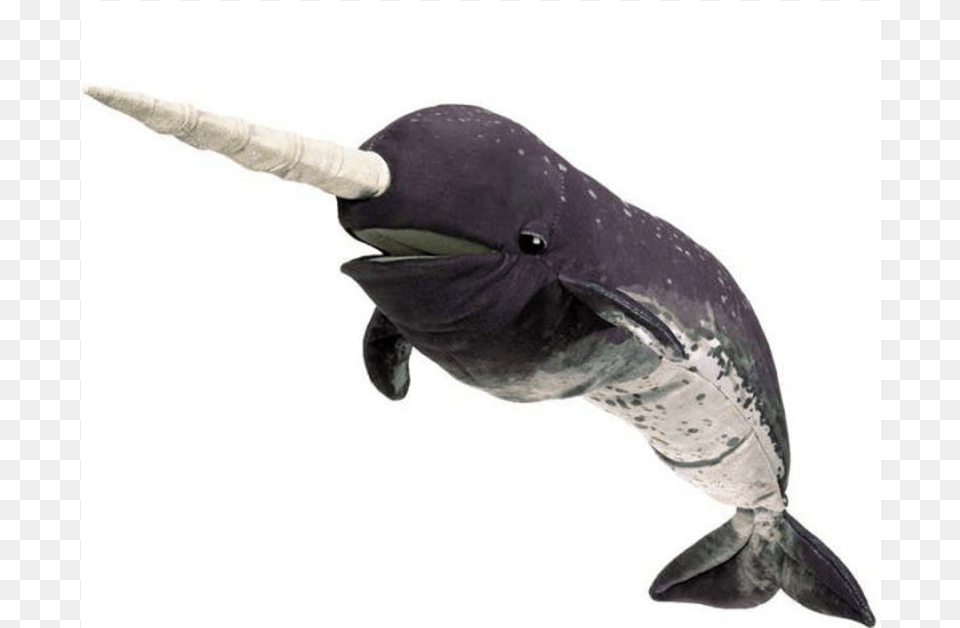 Folkmanis Narwhal Puppet, Animal, Mammal, Sea Life, Whale Png Image
