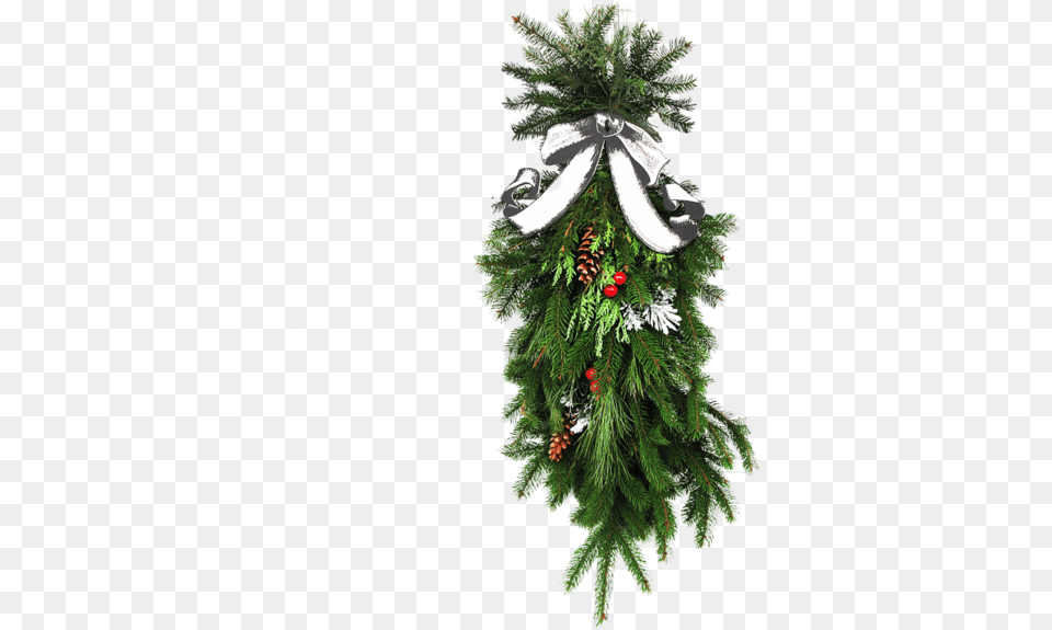 Follaje, Plant, Tree, Christmas, Christmas Decorations Free Png