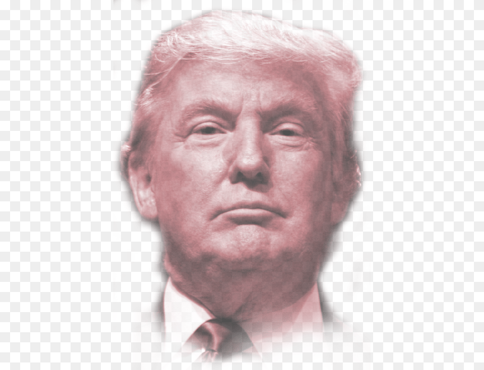 Follow Donald Trump Trump And The Fbi, Male, Man, Photography, Head Png Image