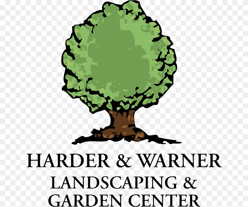Follow Harder Amp Warner Landscapes Amp Garden Center, Plant, Tree, Green, Person Free Png
