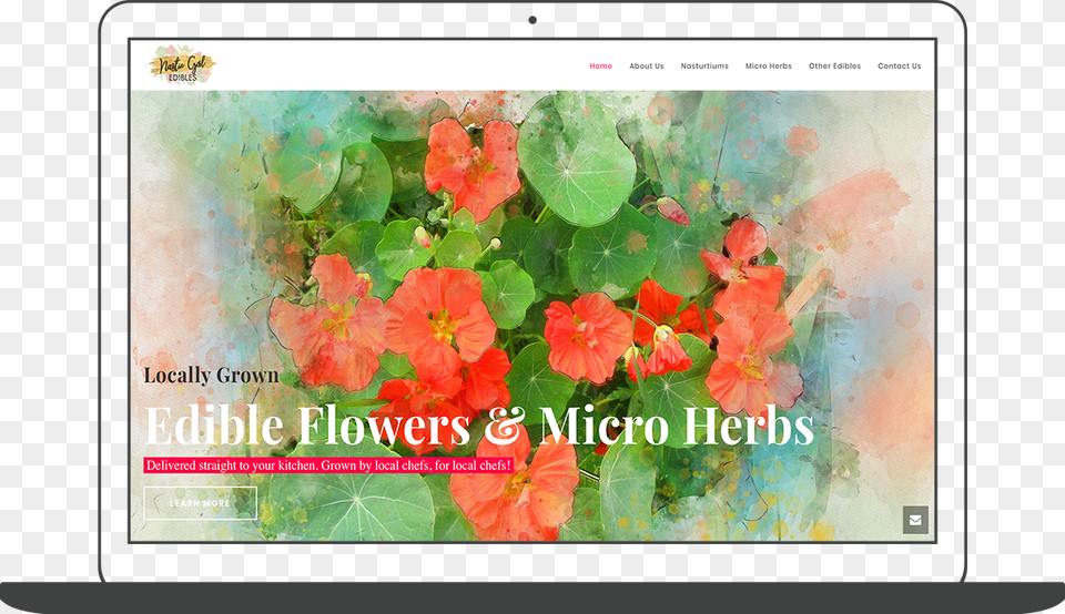 Follow Me On Instagram And Dribbble Hollyhocks, Flower, Geranium, Plant, Hibiscus Png Image