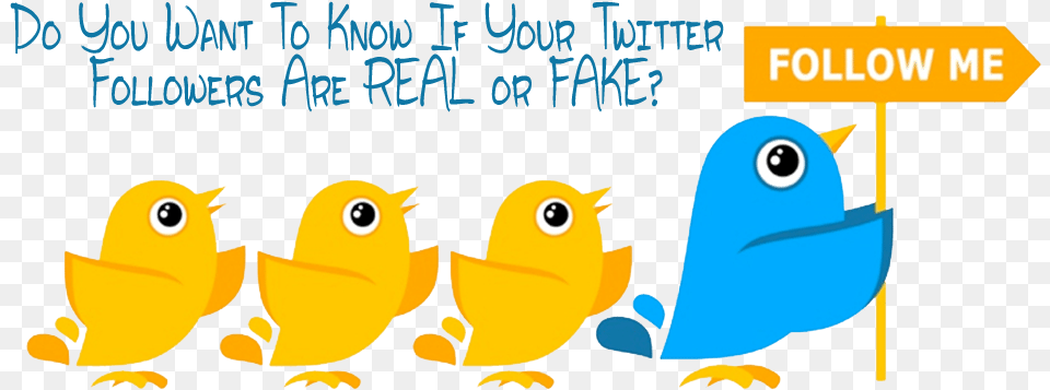 Follow Me On Twitter, Animal, Bird, Beak Free Transparent Png