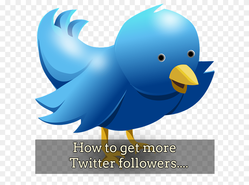 Follow Me On Twitter, Animal, Beak, Bird, Fish Free Transparent Png