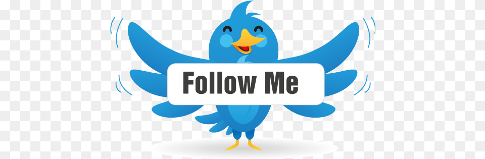 Follow Me Twitter Follow Me, Animal, Parrot, Parakeet, Bird Png