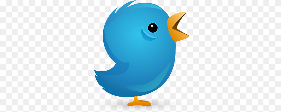 Follow Me Twitter Pictures Songbirds, Animal, Beak, Bird, Jay Free Png