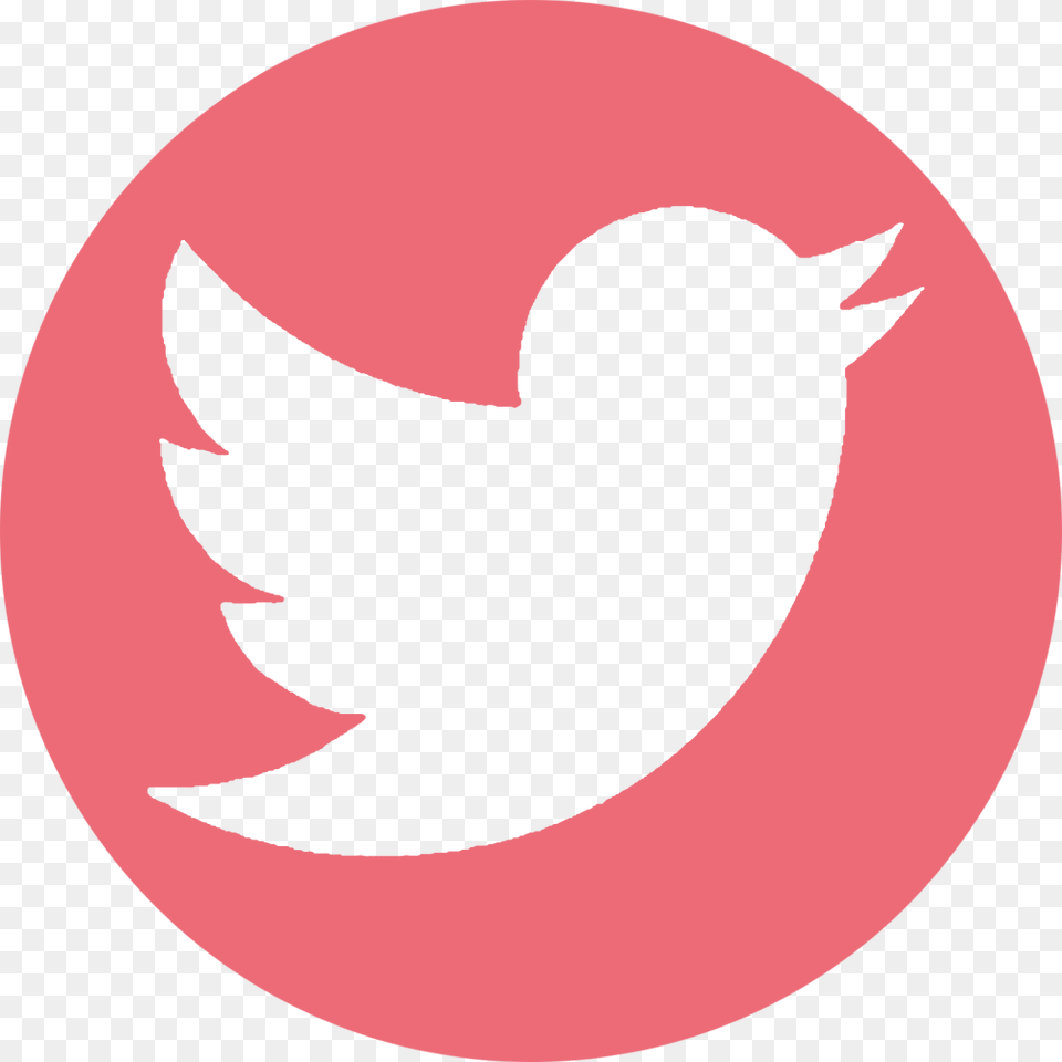 Follow My Gluten Free Blog On Twitter Black Twitter Logo Transparent Background, First Aid, Red Cross, Symbol Png