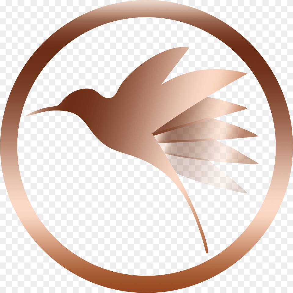 Follow The Hummingbird Consulting Pbc Diga No A Dilma, Animal, Beak, Bird, Astronomy Free Transparent Png