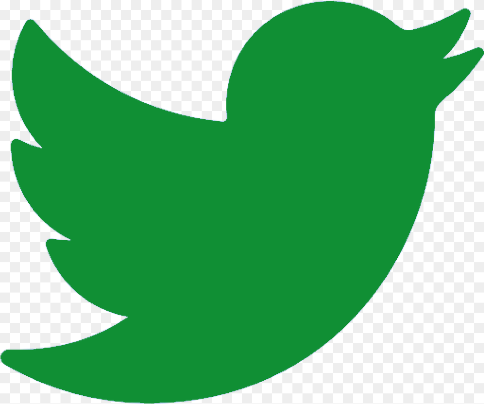 Follow Us On Our Social Media Networks To Be Kept Up Twitter Logo Green, Leaf, Plant, Animal, Fish Free Png