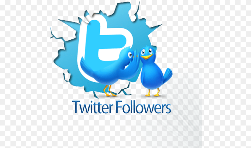 Followers, Animal, Bird, Jay Png