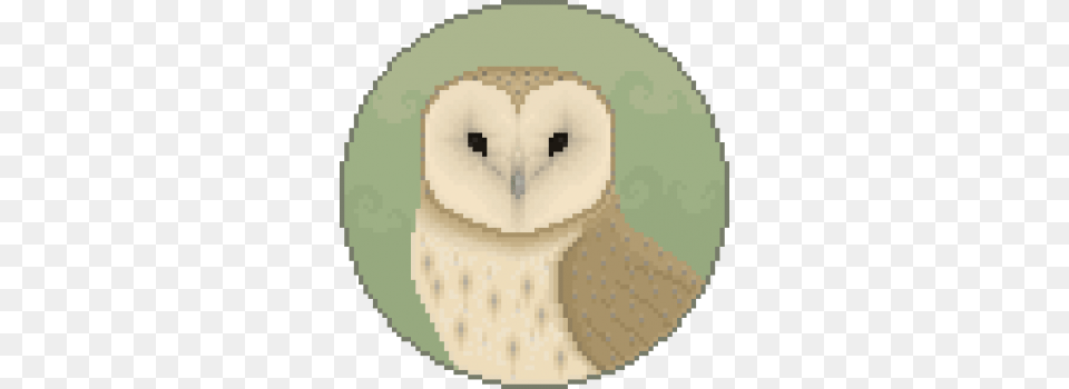 Following Female Foeticide, Animal, Bird, Owl, Face Png Image