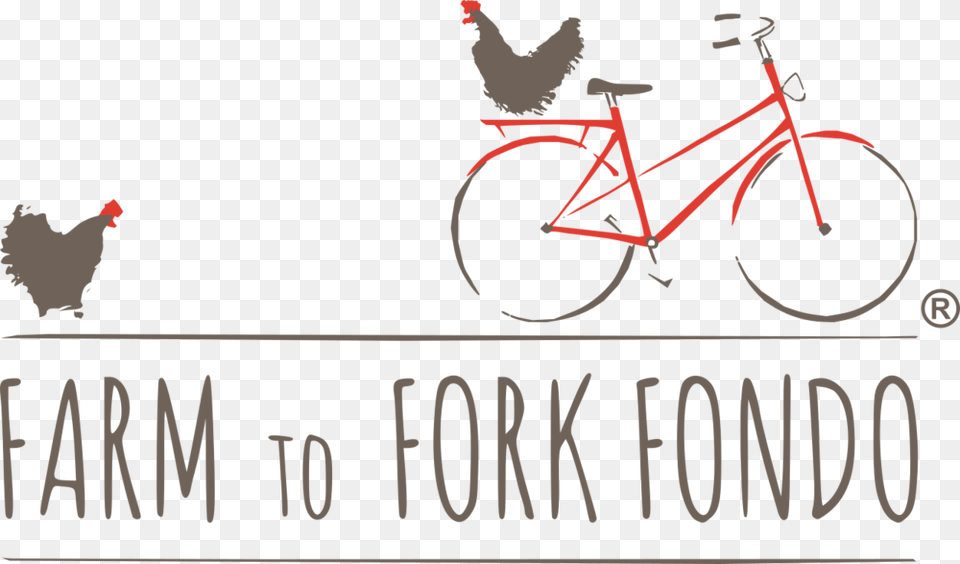 Fondo, Bicycle, Machine, Transportation, Vehicle Free Png