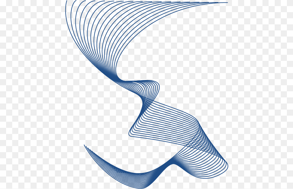 Fondo Lineas Azul, Art, Graphics, Spiral, Animal Free Transparent Png