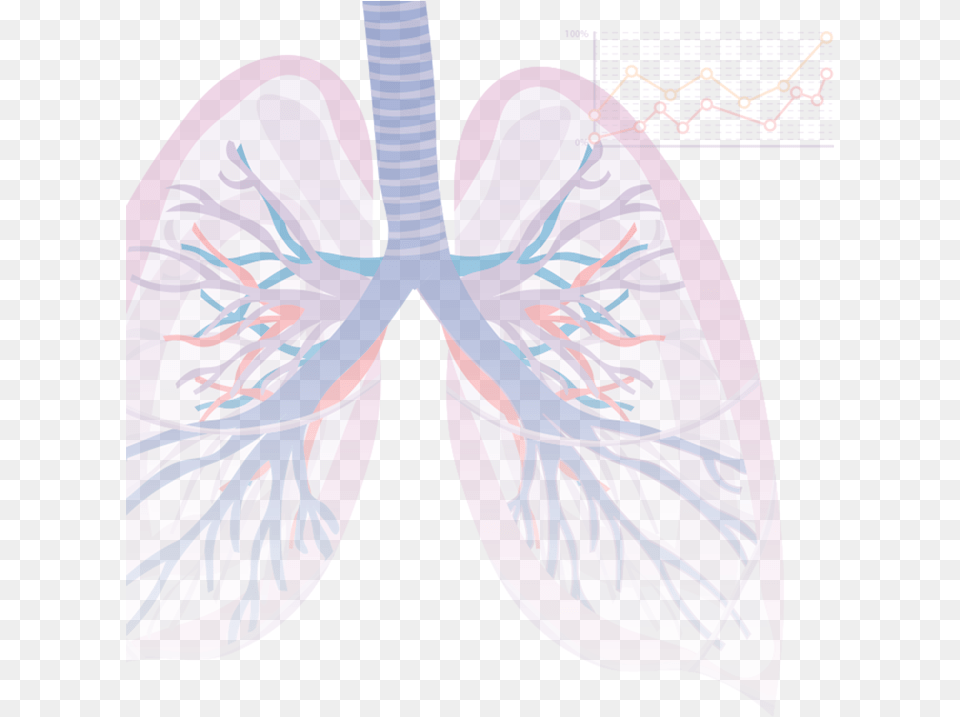 Fondo Signin Pulmones Imagen De Fondo, Pattern, Accessories, Art Free Png Download