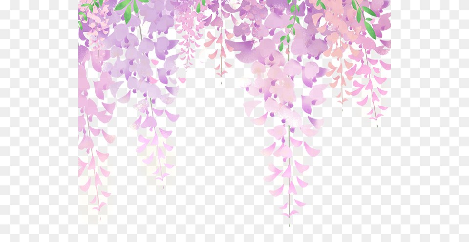Fondos Para Banners De Flores, Purple, Plant, Flower, Petal Free Png