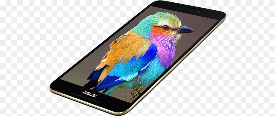 Fonepad Lilac Breasted Roller Bird, Electronics, Mobile Phone, Phone, Animal Free Png Download