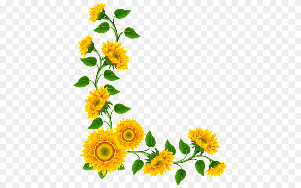 Fonts Graphics Clip Art, Flower, Plant, Sunflower Png Image