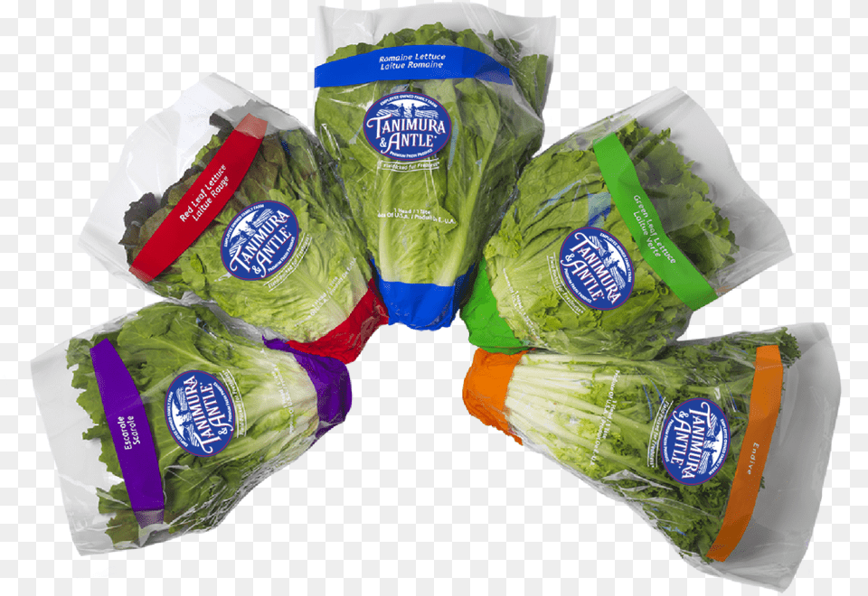 Food, Lettuce, Plant, Produce, Vegetable Free Png Download