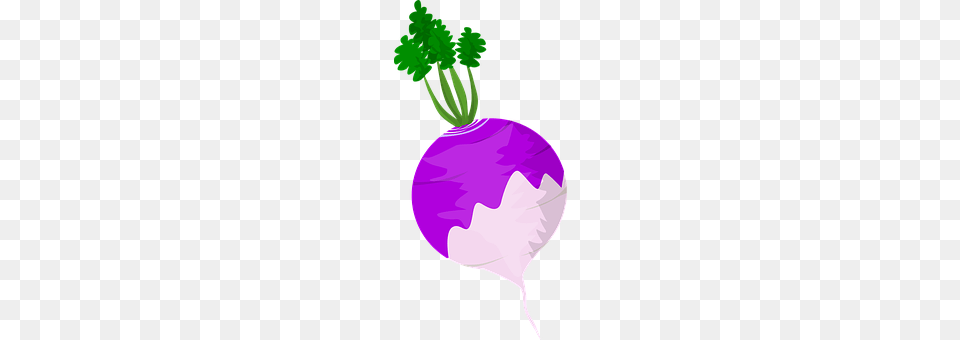 Food Produce, Vegetable, Turnip, Plant Free Png