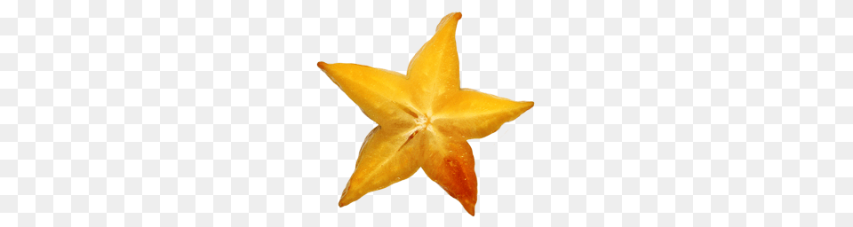 Food And Drinks, Star Symbol, Symbol, Leaf, Plant Png Image