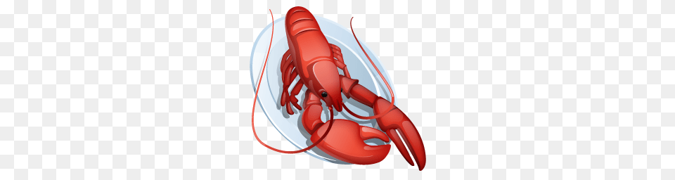 Food And Drinks, Animal, Invertebrate, Lobster, Sea Life Png