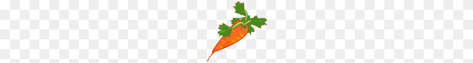 Food And Drinks, Carrot, Plant, Produce, Vegetable Png Image