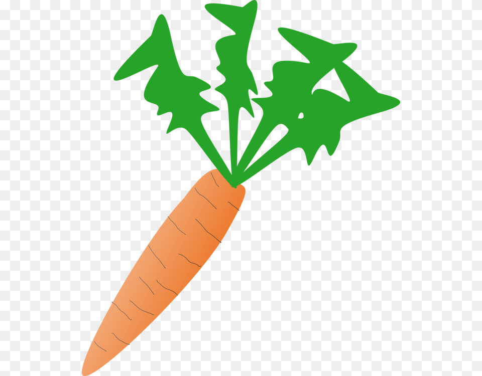 Food Cartoon Free Salad Plant Carrot Vegetable Carrot Clip Art, Produce, Person Png