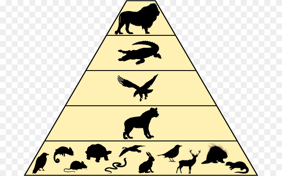 Food Chain America Betrayed How Globalist Elites Destroyed The, Silhouette, Animal, Pet, Mammal Png