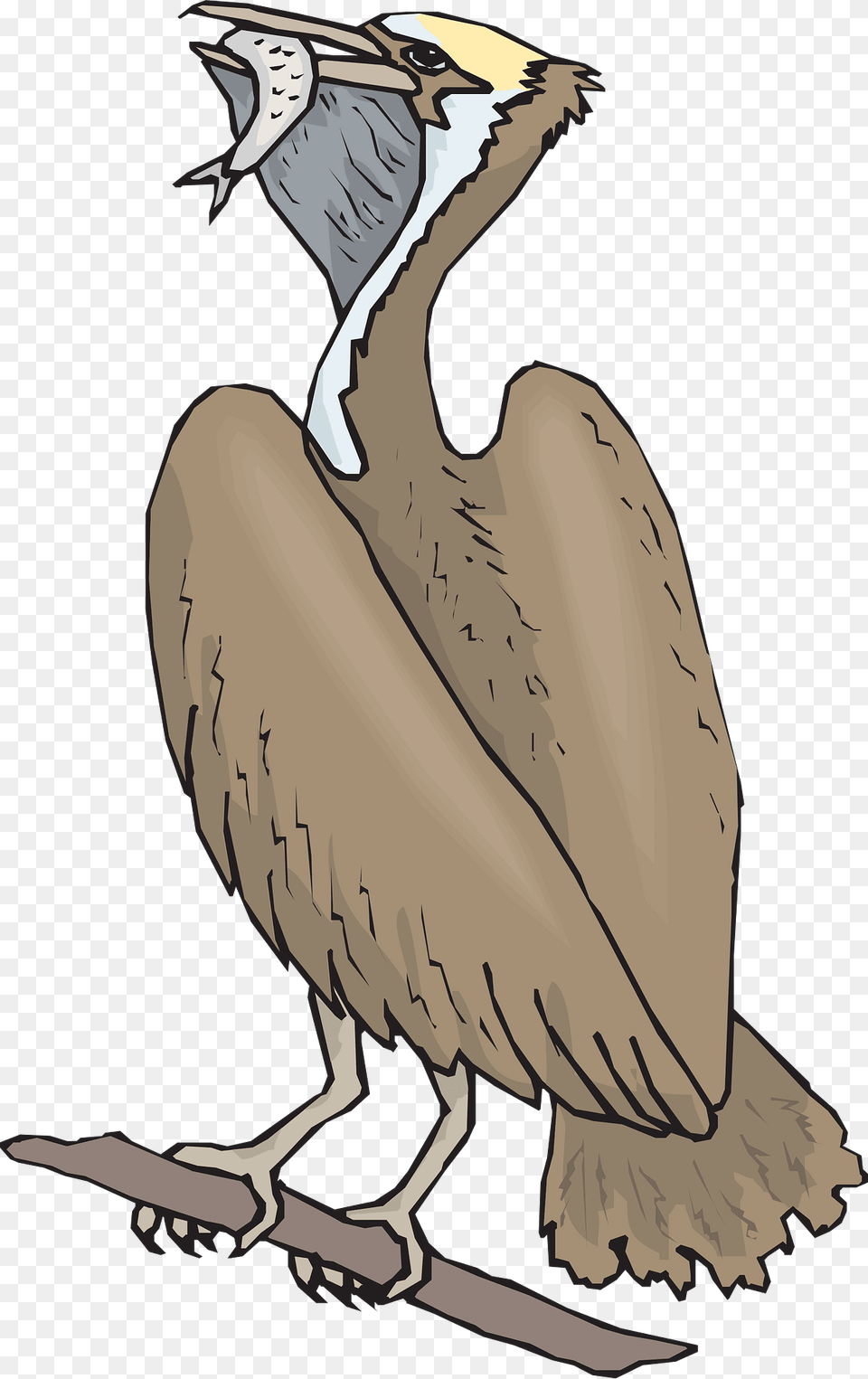 Food Clipart, Animal, Beak, Bird, Vulture Png Image