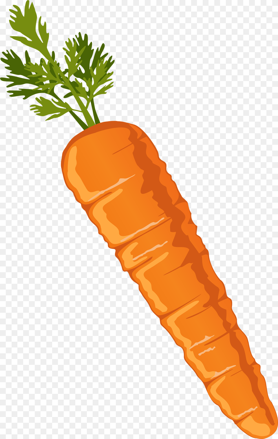 Food Clipart Carrot Drawing Carrots Clip Art Image Transparent Background Carrot Clipart, Plant, Produce, Vegetable, Person Free Png