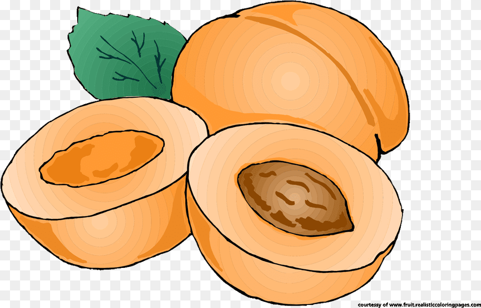 Food Clipart Pumpkin Fruit Royalty Transprent, Plant, Produce, Apricot Free Png
