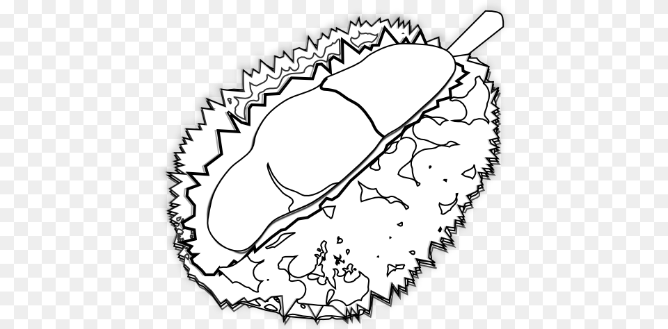 Food Durian Durian Black White Line Art 555px Durian Black And White, Fruit, Plant, Produce, Person Png Image