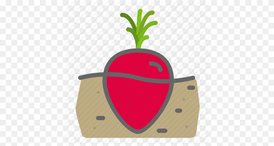 Food Garden Groceries Leaves Soil Turnip Vegetable Icon, Potted Plant, Vase, Jar, Plant Png
